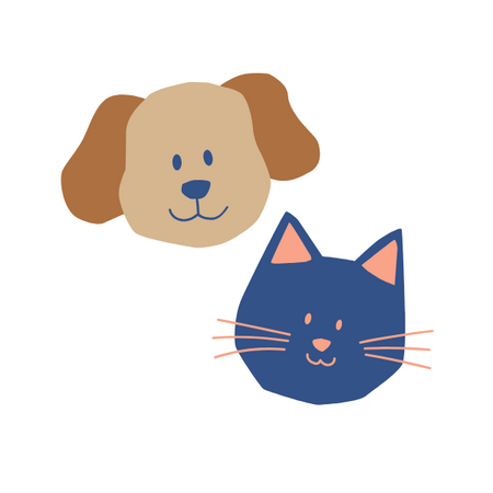 Pet