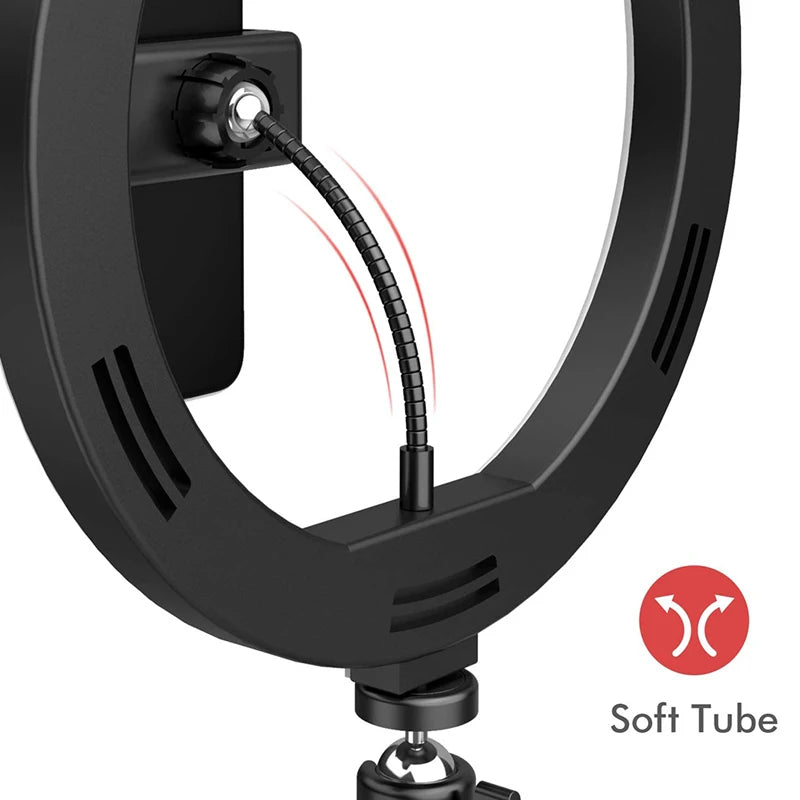 26 cm LED Selfie