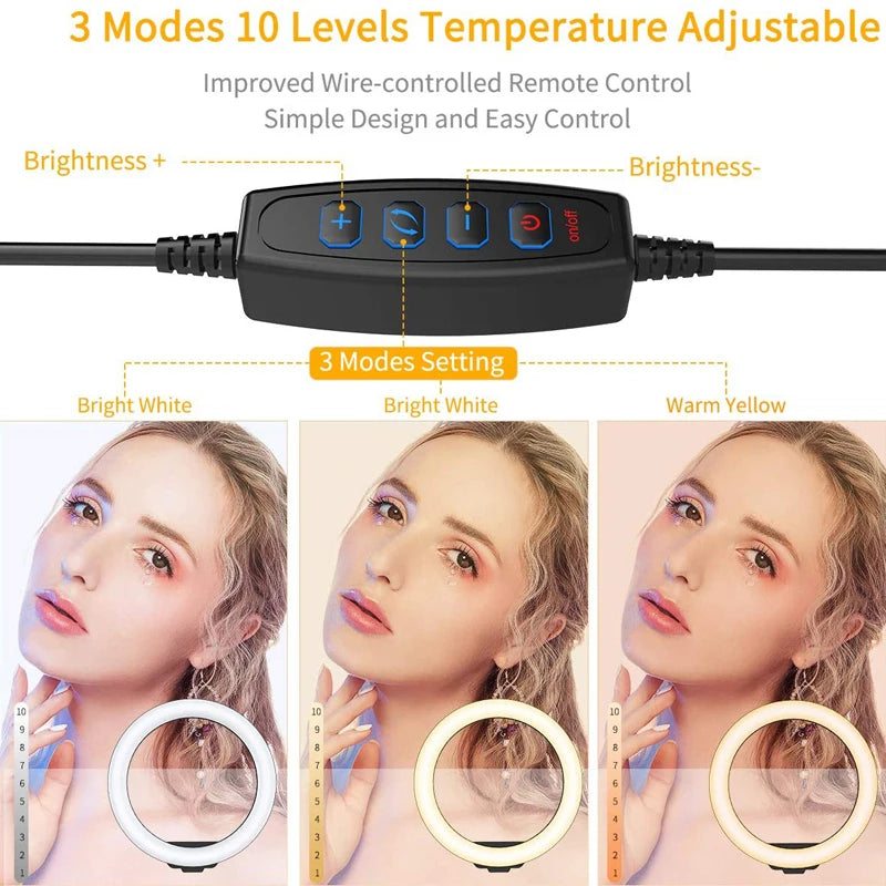 26 cm LED Selfie